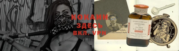 стафф Дмитровск
