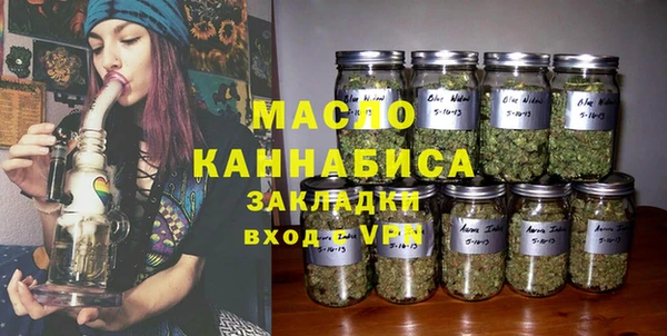 индика Дмитров