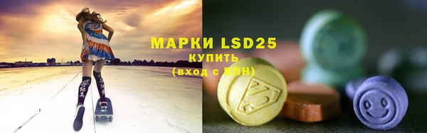 индика Дмитров