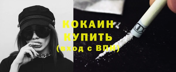 стафф Дмитровск