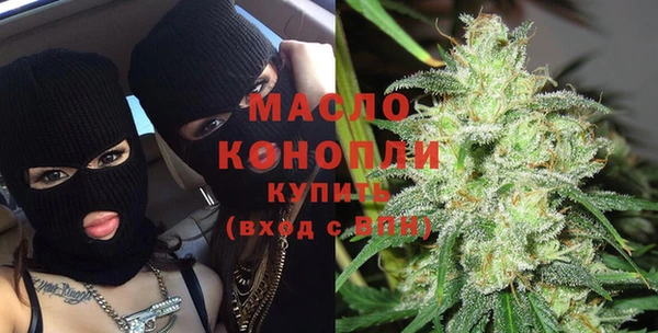индика Дмитров