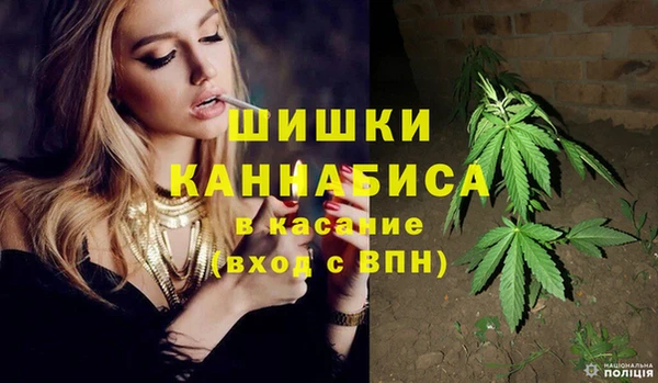 стафф Дмитровск