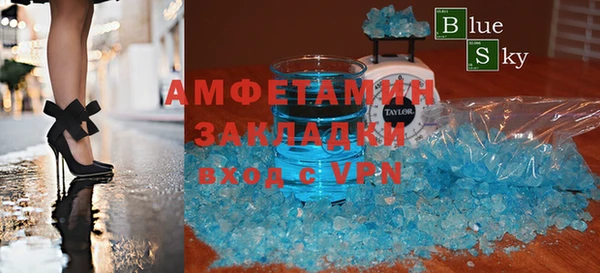 индика Дмитров