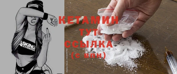 индика Дмитров