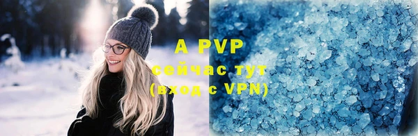 индика Дмитров
