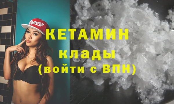 индика Дмитров