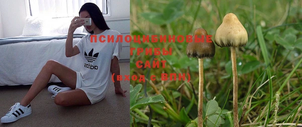 стафф Дмитровск