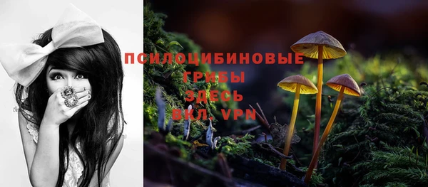 стафф Дмитровск