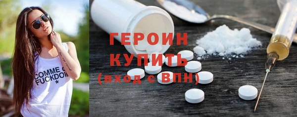 индика Дмитров