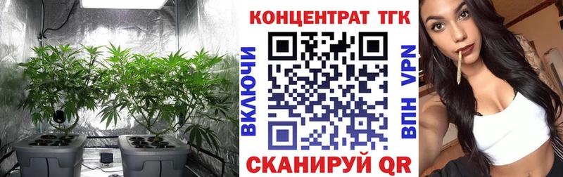 цена наркотик маркетплейс состав Дистиллят ТГК вейп с тгк Донецк